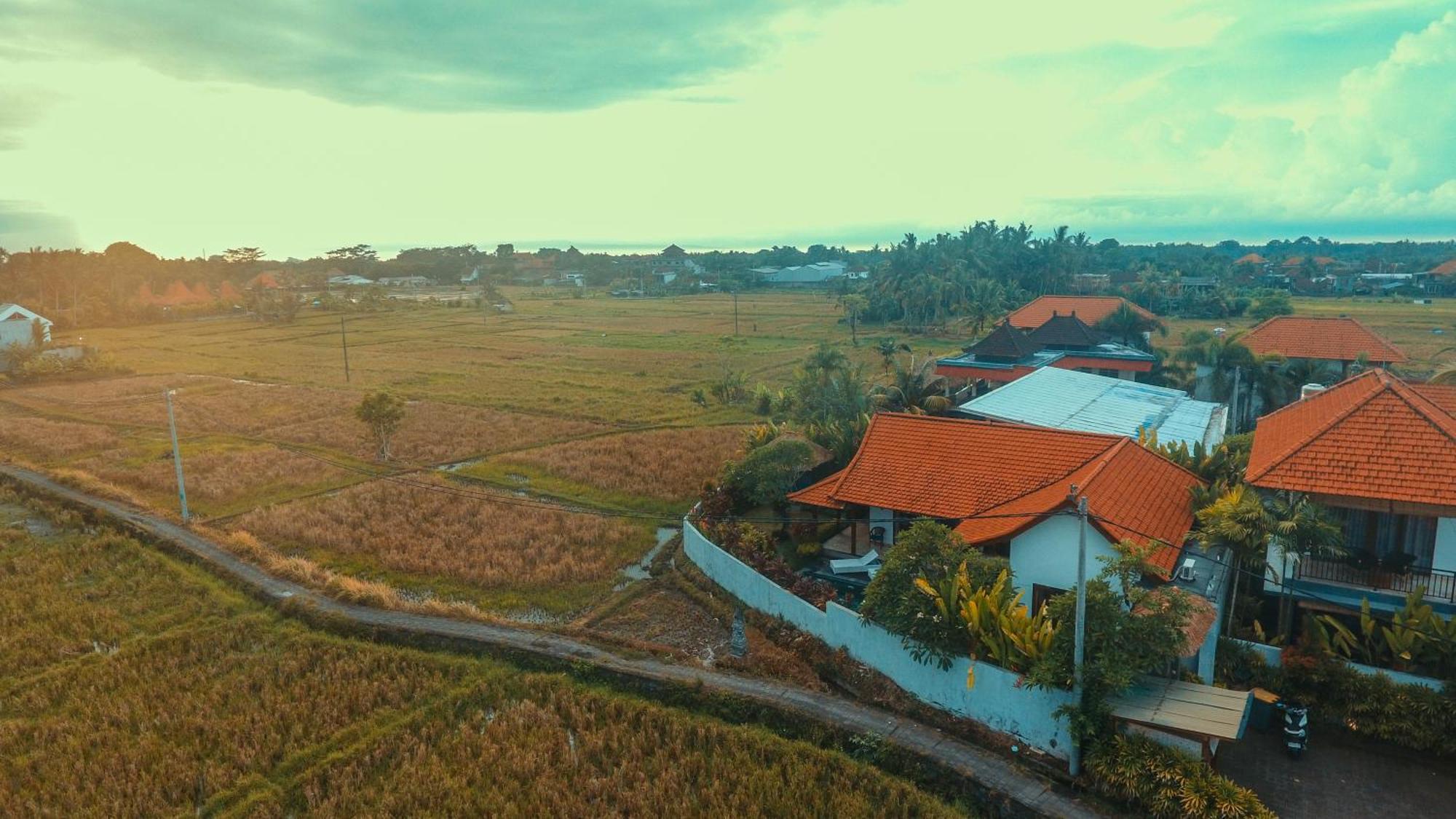 Villa Maya Ubud, Peaceful Rice Field View Exterior foto