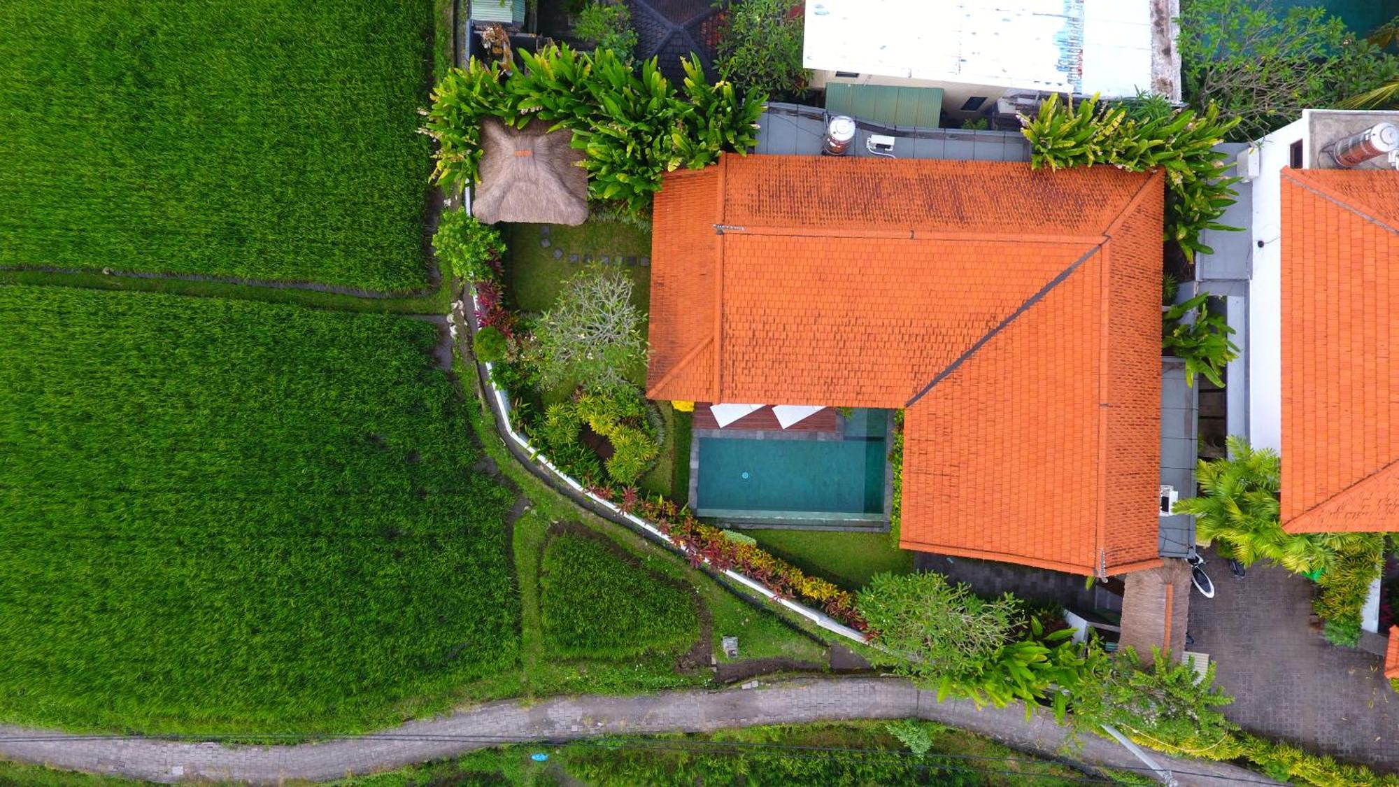 Villa Maya Ubud, Peaceful Rice Field View Exterior foto